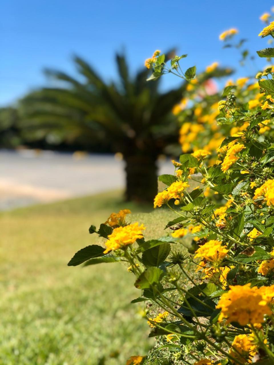 Reserva Praia Hotel Balneário Camboriú Kültér fotó